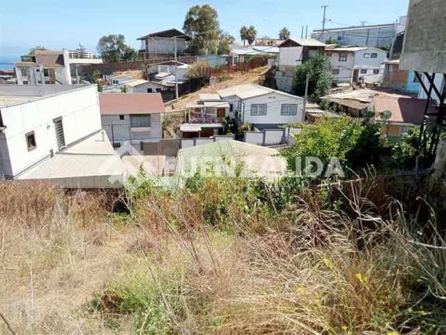 SITIO Recreo - Viña del Mar