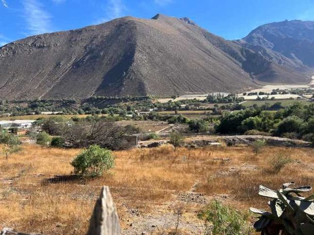 AGRICOLA Lote 1 Inmueble el Naranjo Segundo Andacollito