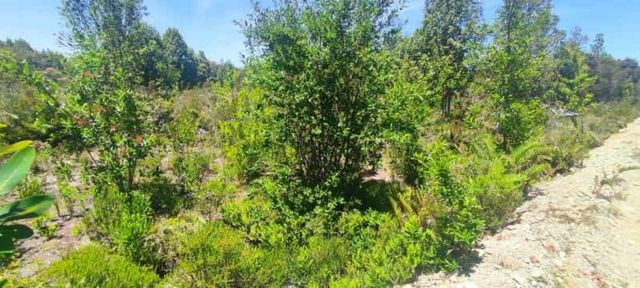 Parcela en Oferta entre Pto Montt - Calbuco