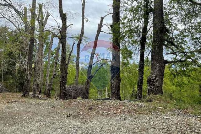 Venta de parcela pucón rio plata