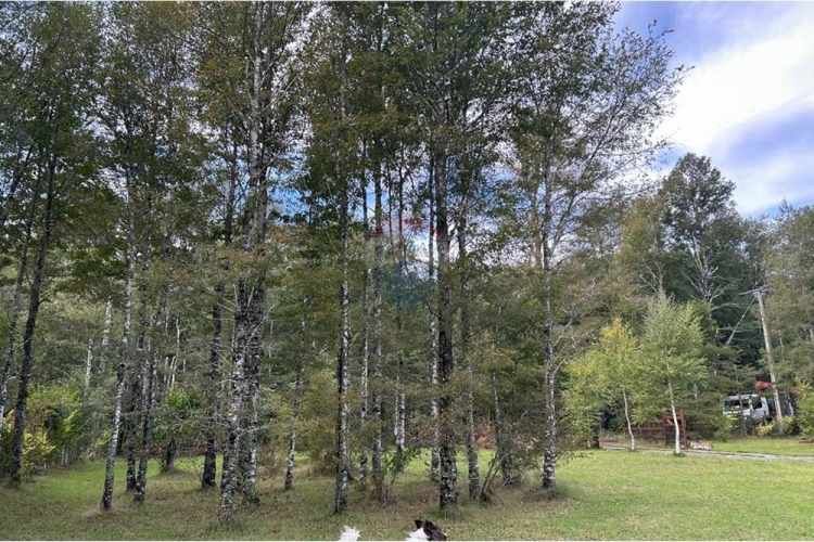Casa en parcela con 2 cabañas en pucon