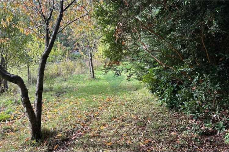 Casa en parcela con 2 cabañas en pucon