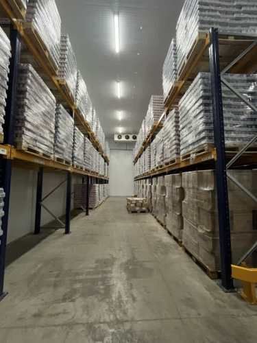 ARRIENDO BODEGA  1.250M2 - 350M2 FRIO / CONGELADO - LAMPA