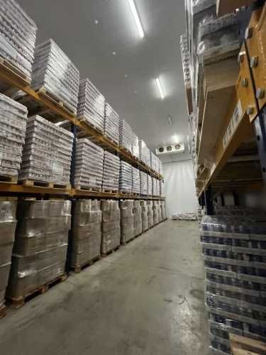 ARRIENDO BODEGA  1.250M2 - 350M2 FRIO / CONGELADO - LAMPA