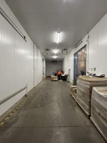 ARRIENDO BODEGA  1.250M2 - 350M2 FRIO / CONGELADO - LAMPA