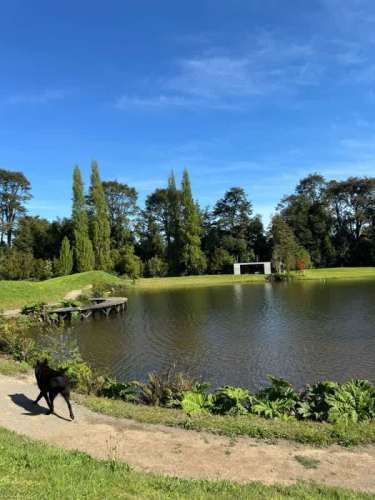 VENTA PARCELA + CASA 4H2B 168M2 CONSTRUIDO - FRUTI