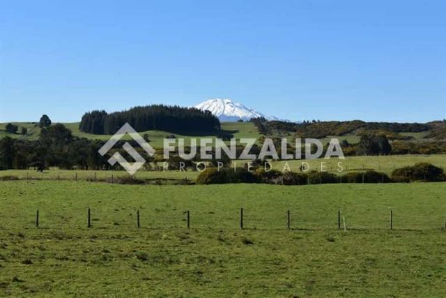 SITIO Av los colonos