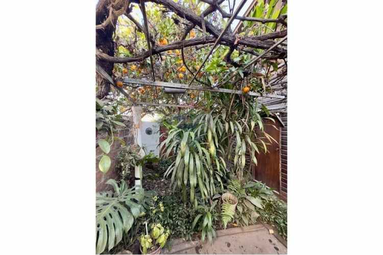 Vida cómoda, conectada y rodeada de verde