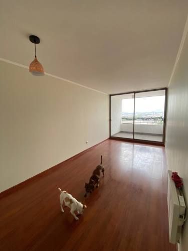 VENTA DPTO 3D 2B 1E  1B - San Miguel