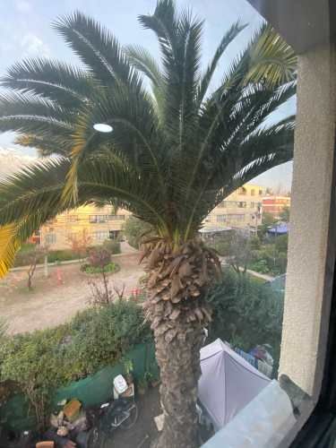 Luminoso Departamento 3D  Peñalolén  (108193)