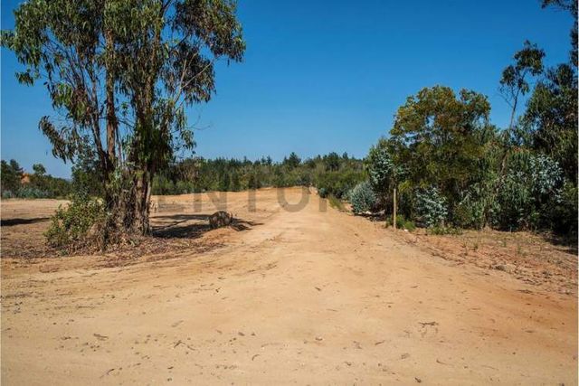 Venta Terreno 10000 m2 Placilla Oriente Valparaíso