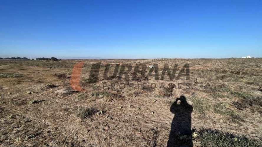 Sitio SITIOS DE 5.000M2 PARA INVERSIÓN SECTOR SERENA GOLF