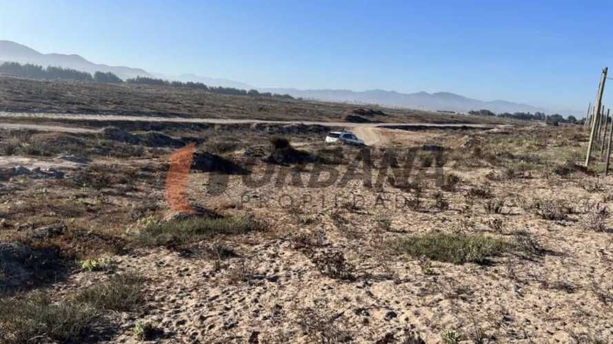 Sitio SITIOS DE 5.000M2 PARA INVERSIÓN SECTOR SERENA GOLF