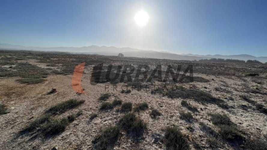 Sitio SITIOS DE 5.000M2 PARA INVERSIÓN SECTOR SERENA GOLF