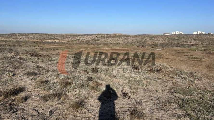 Sitio SITIOS DE 5.000M2 PARA INVERSIÓN SECTOR SERENA GOLF