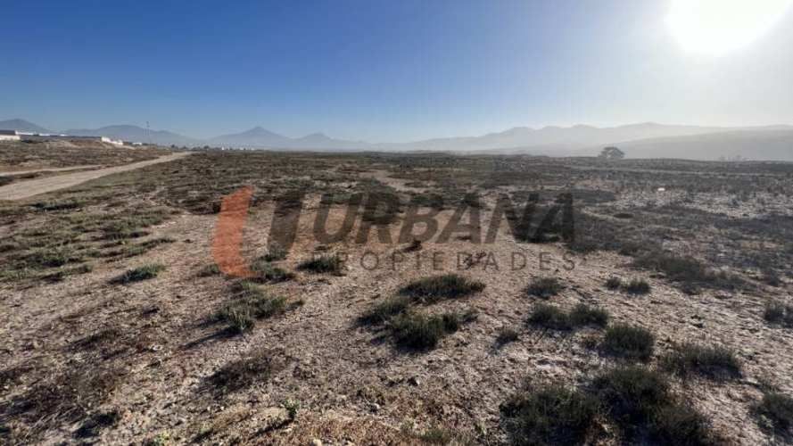 Sitio SITIOS DE 5.000M2 PARA INVERSIÓN SECTOR SERENA GOLF