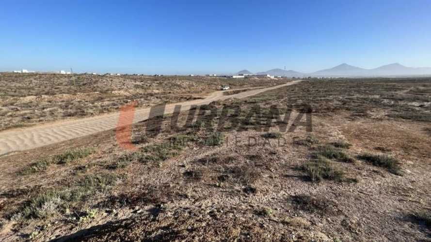 Sitio SITIOS DE 5.000M2 PARA INVERSIÓN SECTOR SERENA GOLF