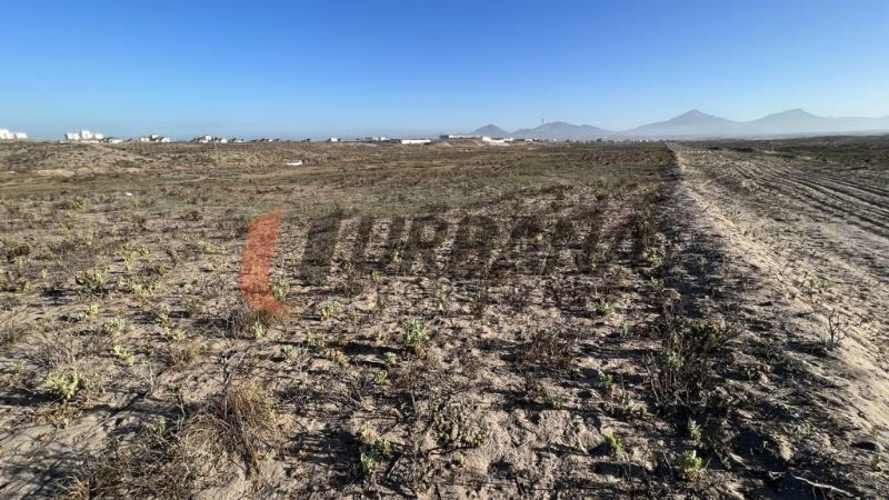 Sitio SITIOS DE 5.000M2 PARA INVERSIÓN SECTOR SERENA GOLF