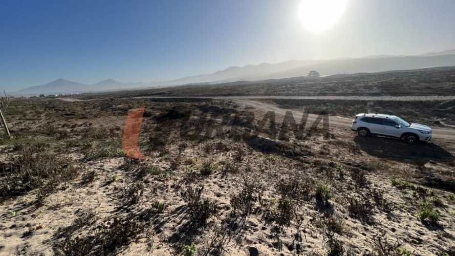 Sitio SITIOS DE 5.000M2 PARA INVERSIÓN SECTOR SERENA GOLF