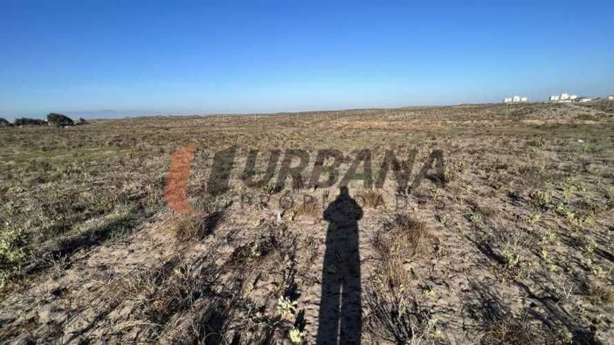 Sitio SITIOS DE 5.000M2 PARA INVERSIÓN SECTOR SERENA GOLF