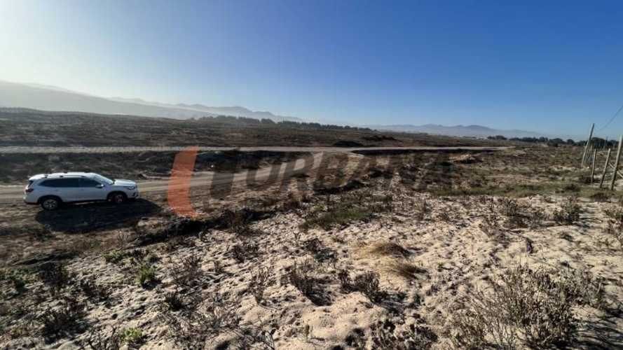 Sitio SITIOS DE 5.000M2 PARA INVERSIÓN SECTOR SERENA GOLF