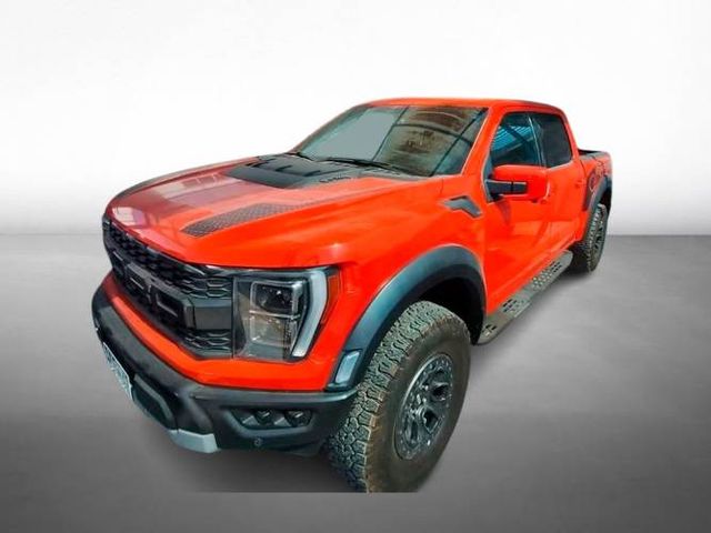 FORD F-150 RAPTOR 2024