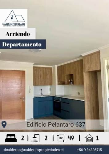 Se arrienda hermoso y luminoso departamento en Edificio Pelantaro 637