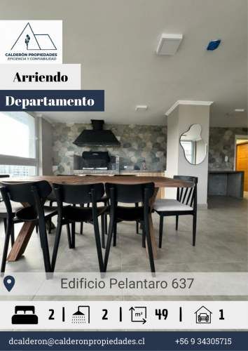 Se arrienda hermoso y luminoso departamento en Edificio Pelantaro 637