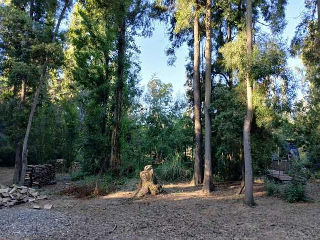 PARCELA Parcela 12 Coironal, Yerbas Buenas