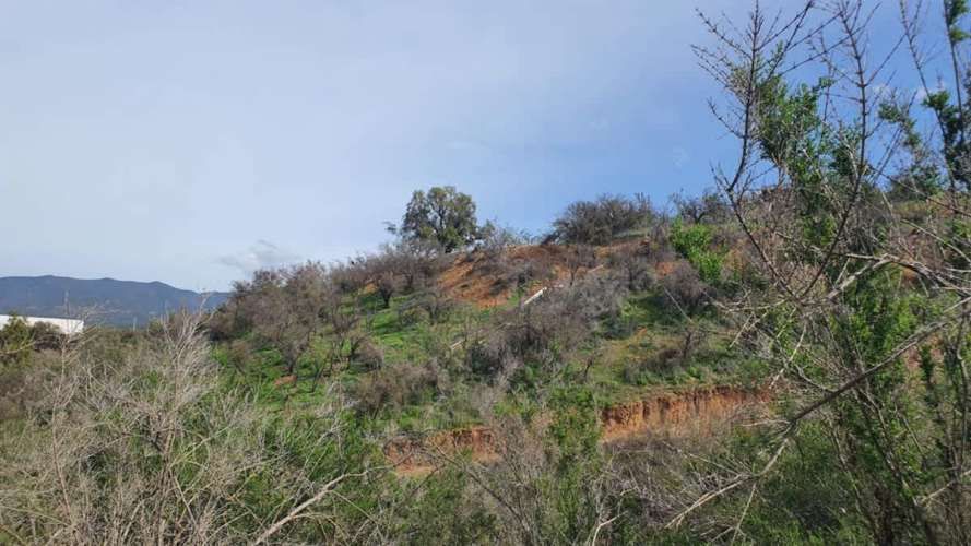 PARCELA CAMINO EL TORO, KM 3, CONDOMINIO LOMAS DEL VALLE, CURACAVI, RM