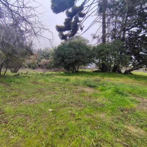 FOCOLARE PROPIEDADES VENDE SITIO