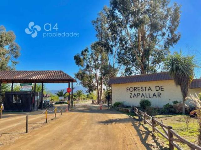 Excelente Inversión! Parcela Condominio Foresta Zapallar