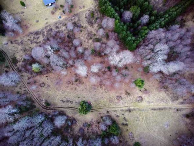 PARCELA Condominio trufulco