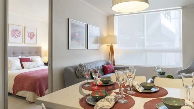 DEPARTAMENTO Zenteno / Metro Parque OHiggins