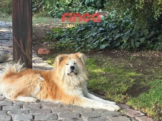 Casa en venta Camino Alba II