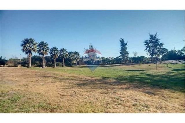 Oportunidad única en bollenar