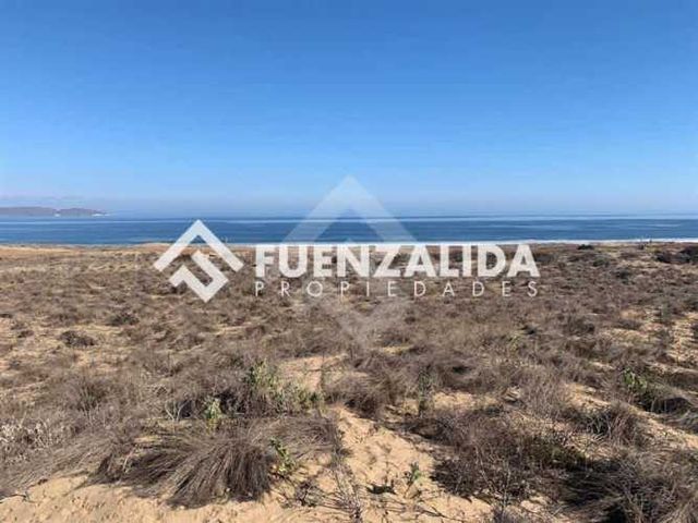 SITIO Morrillos Norte