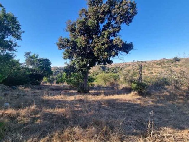 Agrícola CAMINO HACIA LOS ESPINOS