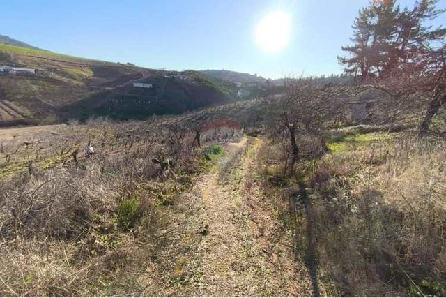 Se vende parcela en sector de quieme, quillón