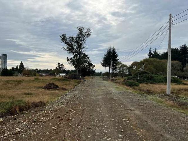 PUERTO MONTT A LOS MUERMOS (109572)