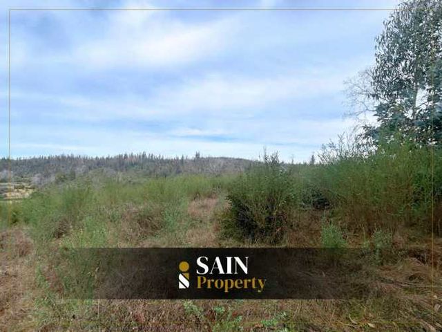 Invierte en naturaleza con plusvalía segura (109666)