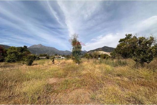 Atención proyecto strp center olmué