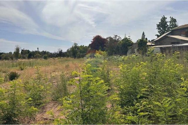 Atención proyecto strp center olmué