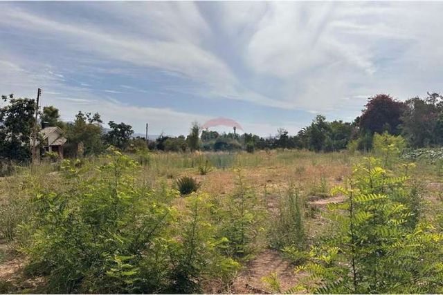 Atención proyecto strp center olmué