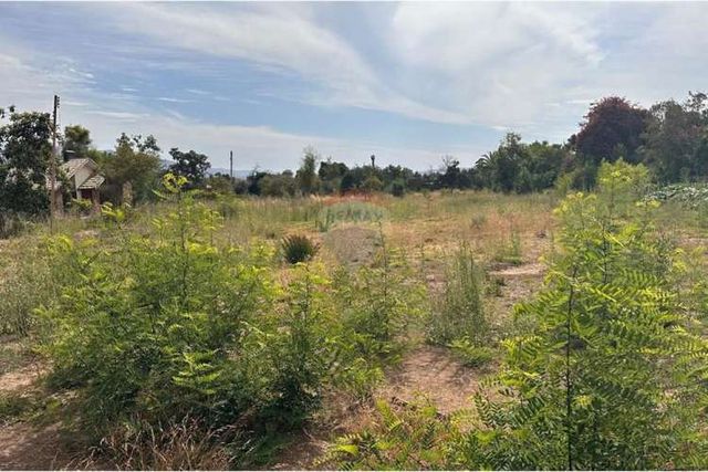 Atención proyecto strp center olmué