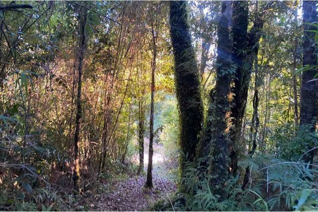 Venta de hermorsa parcela en calfuco