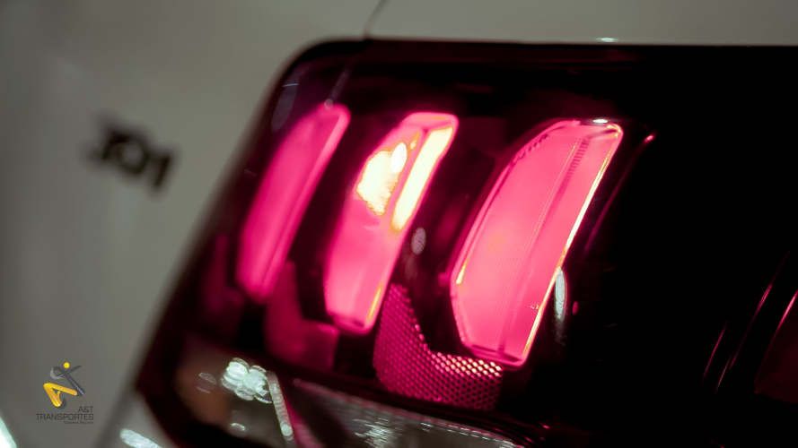 CONDUCTOR PROFESIONAL