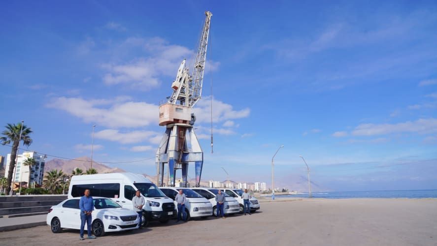 CONDUCTOR PROFESIONAL