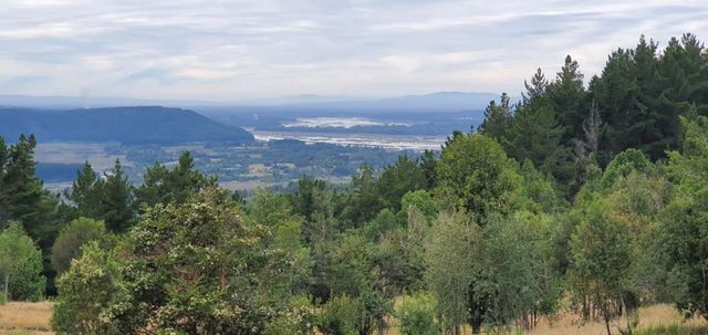 Venta de Parcela en sector Potrero Alto