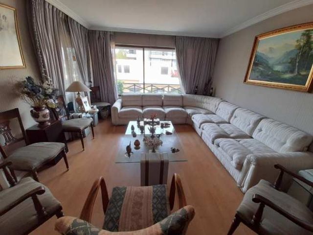 EL VERGEL, EL BOSQUE